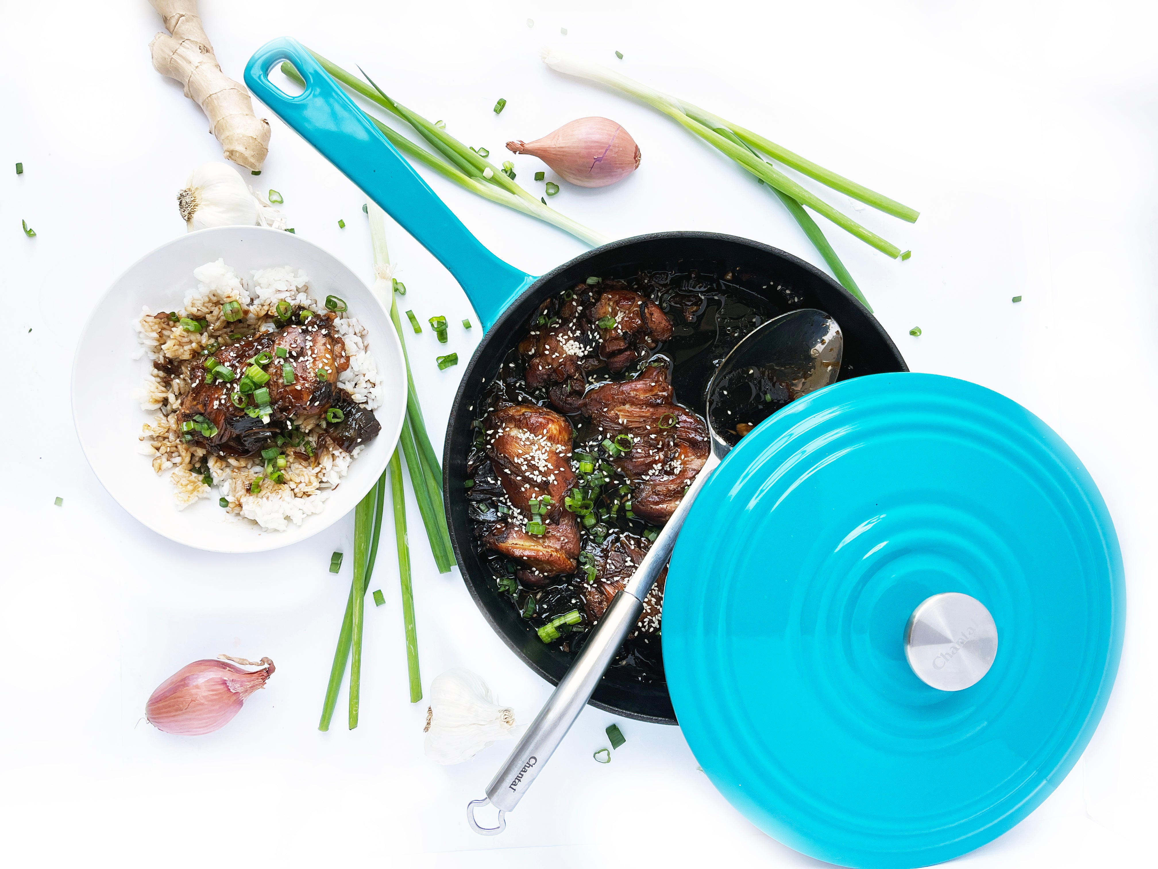 Best Braised Chicken Ever – Chantal