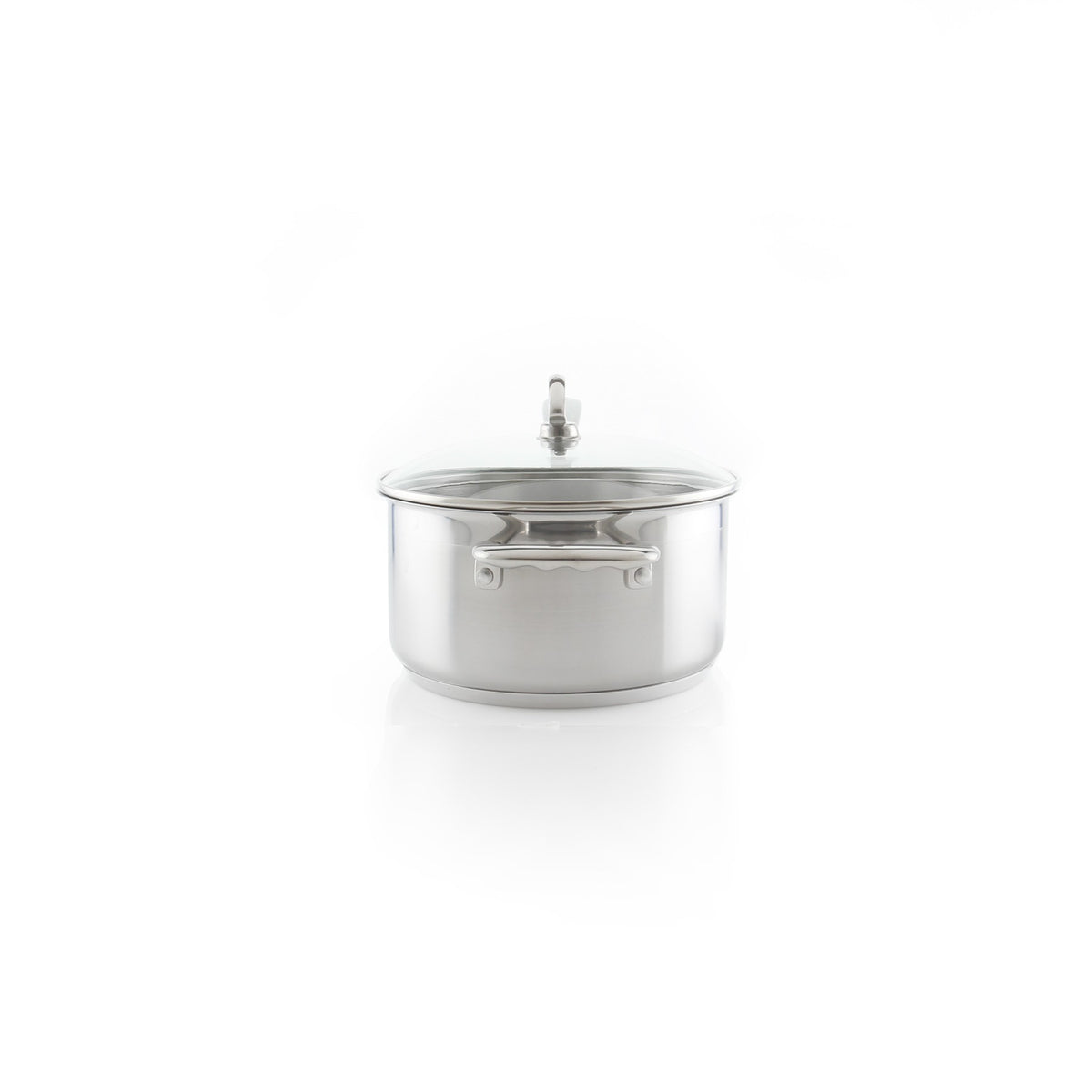 Chantal Induction 21 3.5-Qt. Stainless Steel Saucepan with Glass Lid