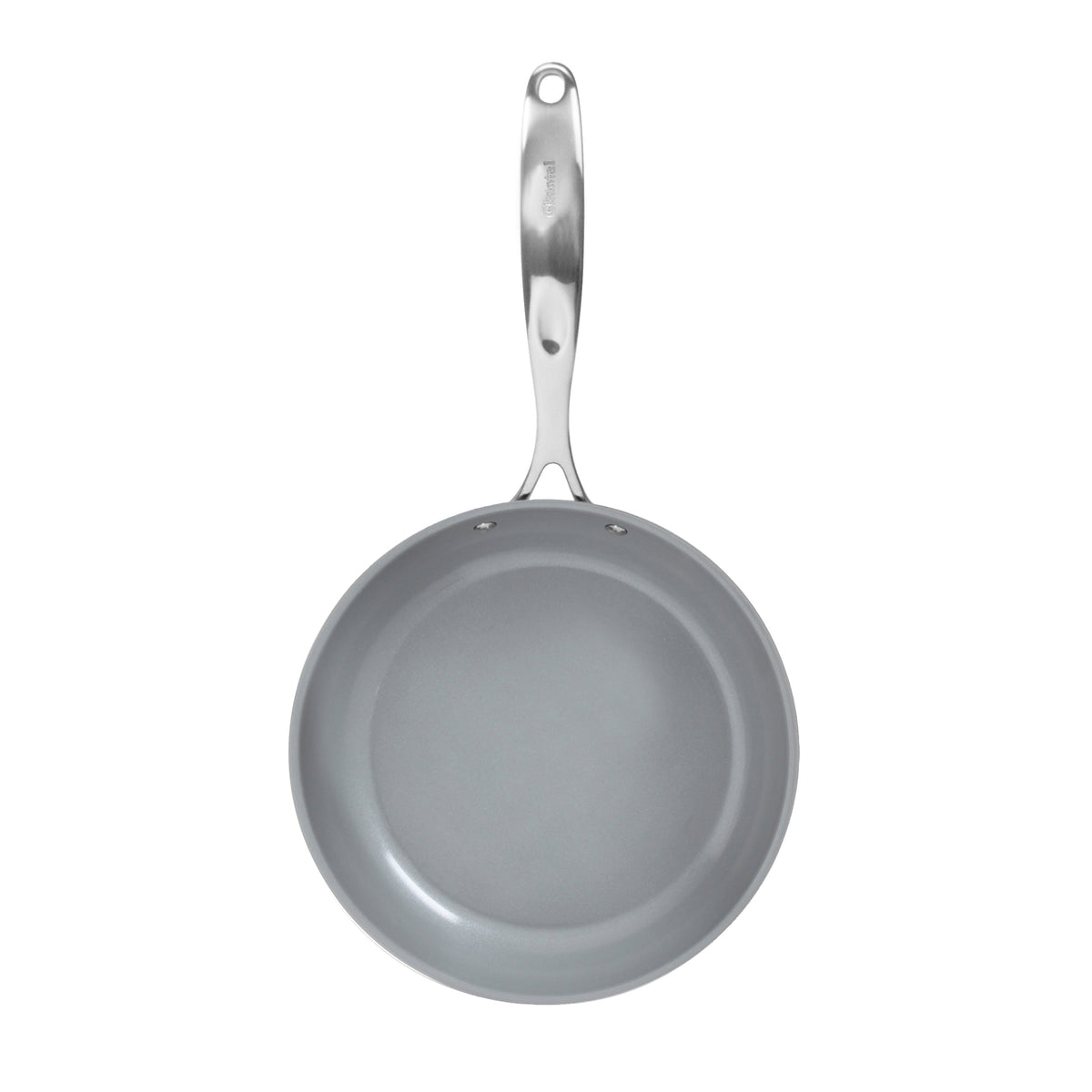 Chantal Induction 21 Steel Fry Pans, Set of 2 