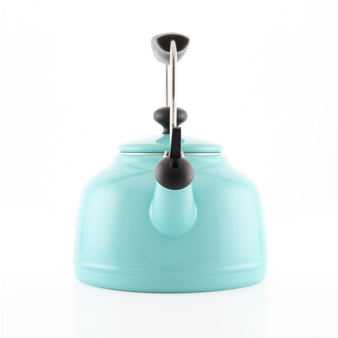 beautiful rotating vintage kettle
