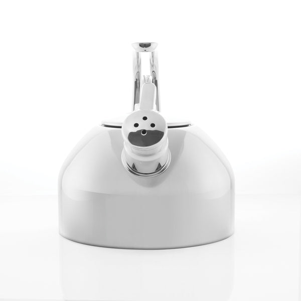 stainless steel classic tea kettle with handle mitt