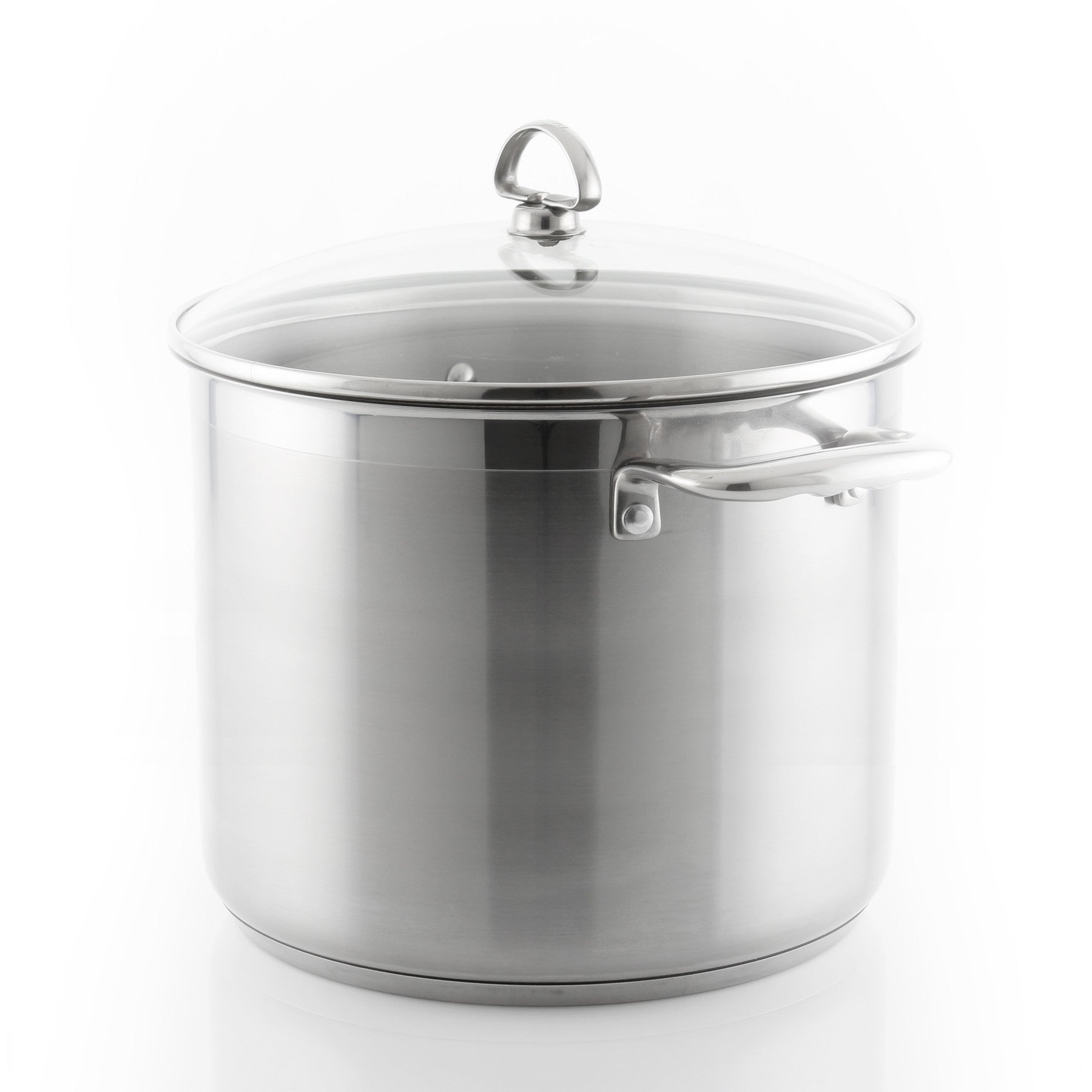 Induction 21 Steel Stockpot with Lid (12 Qt.)
